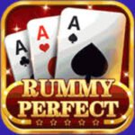 Perfect Rummy App